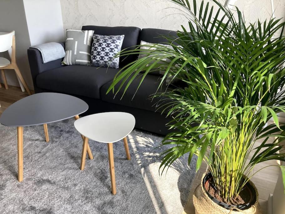 קטוביץ Sloneczny Apartament Z Garazem Przy Parku Kosciuszki מראה חיצוני תמונה