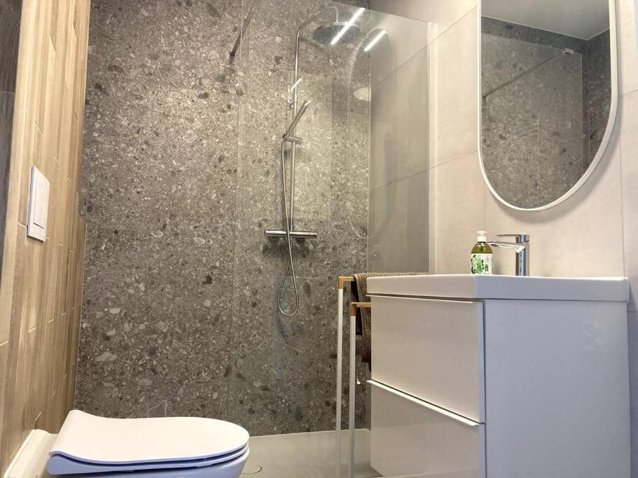 קטוביץ Sloneczny Apartament Z Garazem Przy Parku Kosciuszki מראה חיצוני תמונה